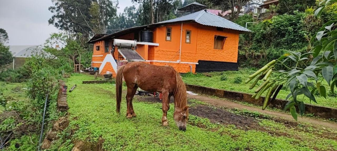 Paradise Cottage Vattavada, Munnar Eksteriør bilde